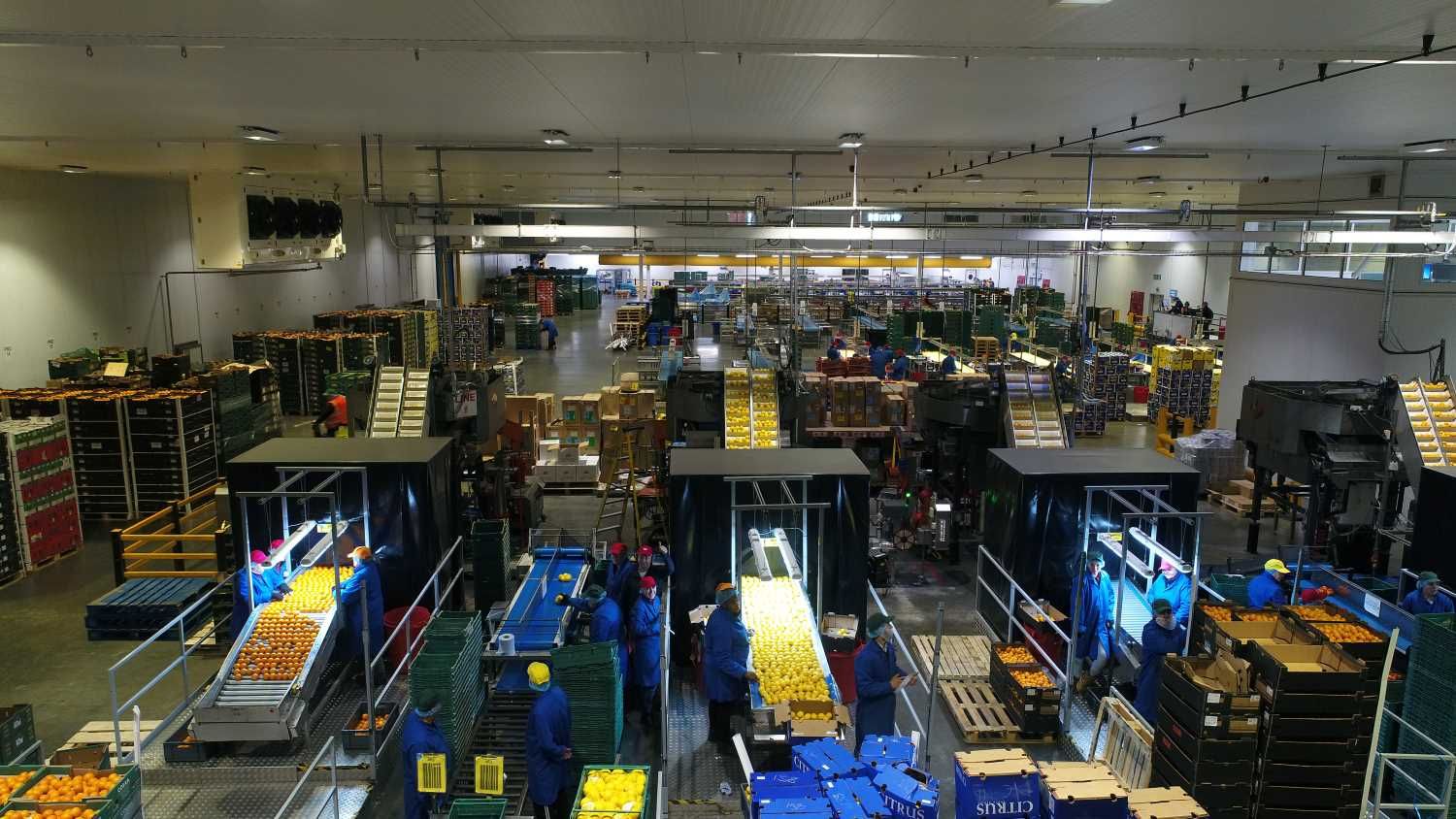 Turners Pre Pack Logistic (PPL)